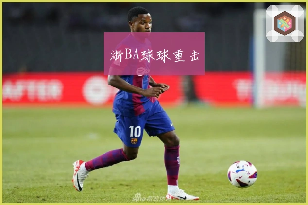浙BA球球重击